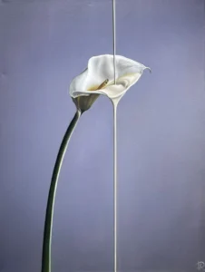 Kristīne Priedīte